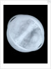 Globe x-ray by Willem Jansz Blaeu