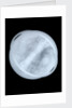 Globe x-ray by Willem Jansz Blaeu