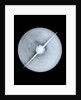 Globe x-ray by Willem Jansz Blaeu