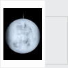 Globe x-ray by Georg Christoph Eimmart