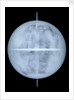 Globe x-ray by Georg Christoph Eimmart