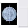 Globe x-ray by Georg Christoph Eimmart