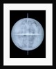 Globe x-ray by Georg Christoph Eimmart