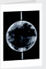 Globe x-ray by Johann Gabriel Doppelmayr