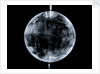 Globe x-ray by Johann Gabriel Doppelmayr