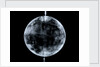 Globe x-ray by Johann Gabriel Doppelmayr