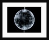 Globe x-ray by Johann Gabriel Doppelmayr