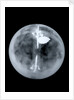 Globe x-ray by Nathaniel Hill