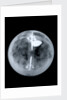 Globe x-ray by Nathaniel Hill