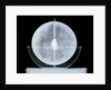 Globe x-ray by William Bardin