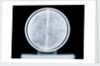 Globe x-ray by William Bardin