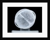 Globe x-ray by William Bardin