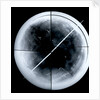 Globe x-ray by Gerard Mercator