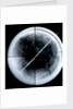 Globe x-ray by Gerard Mercator