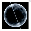 Globe x-ray by Gerard Mercator