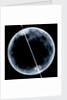 Globe x-ray by Gerard Mercator