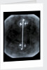 Globe x-ray by Gerard Mercator
