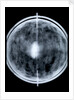 Globe x-ray by Jacob Floris van Langren