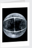Globe x-ray by Jacob Floris van Langren