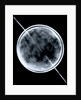 Globe x-ray by Jacob Floris van Langren