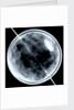Globe x-ray by Jacob Floris van Langren