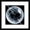 Globe x-ray by Jacob Floris van Langren