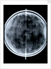 Globe x-ray by Jacob Floris van Langren