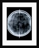Globe x-ray by Jacob Floris van Langren