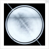 Globe x-ray by Willem Jansz Blaeu