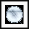 Globe x-ray by Willem Jansz Blaeu
