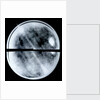 Globe x-ray by Arnold Floris van Langren