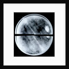 Globe x-ray by Arnold Floris van Langren