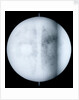 Globe x-ray by Jan Jansz van Ceulen
