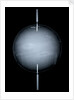 Globe x-ray by Isaac Habrecht II