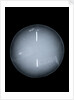 Globe x-ray by Isaac Habrecht II
