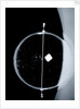 Globe x-ray by Isaac Habrecht II