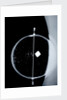 Globe x-ray by Isaac Habrecht II