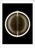 Globe x-ray by Joannes Oterschaden