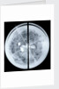 Globe x-ray by Jodocus Hondius Jr