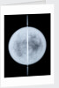 Globe x-ray by Jodocus Hondius