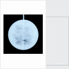 Globe x-ray by Peter Anich