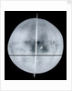 Globe x-ray by Gemma Frisius