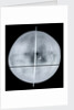 Globe x-ray by Gemma Frisius
