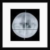 Globe x-ray by Gemma Frisius