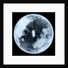Globe x-ray by unknown