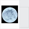 Globe x-ray by Giovanni Maria Cassini