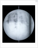 Globe x-ray by Guillaume de L'Isle