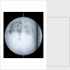 Globe x-ray by Guillaume de L'Isle