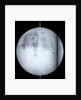 Globe x-ray by Guillaume de L'Isle