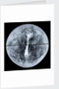 Globe x-ray by Jacques Hardy